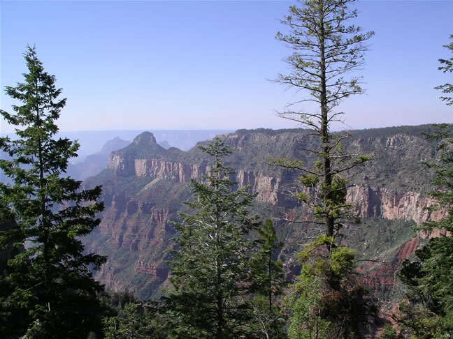 images/Hiking North Rim- Widforss Trail (6).jpg